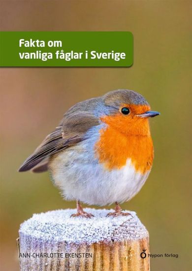 Fakta om vanliga fåglar i Sverige
