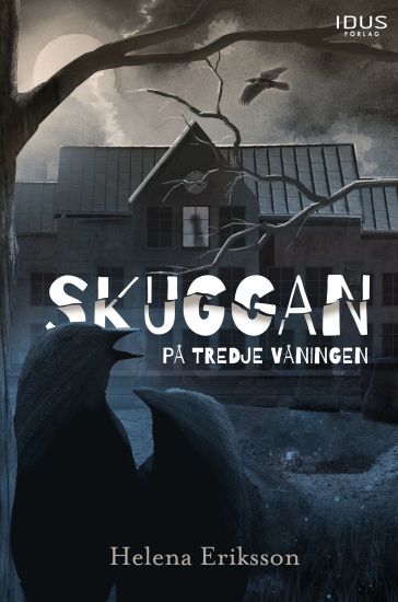Skuggan på tredje våningen