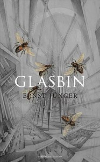 Glasbin