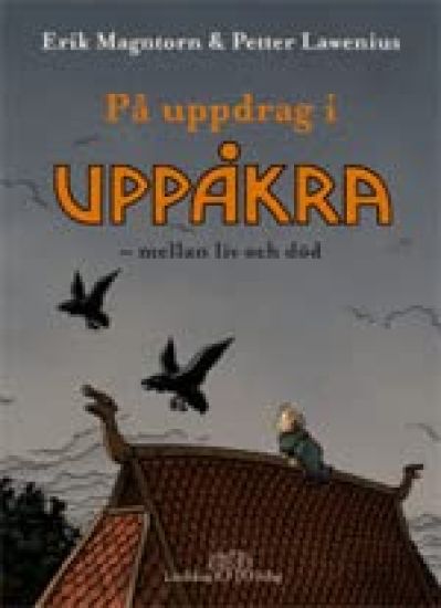 På uppdrag i Uppåkra : mellan liv och död