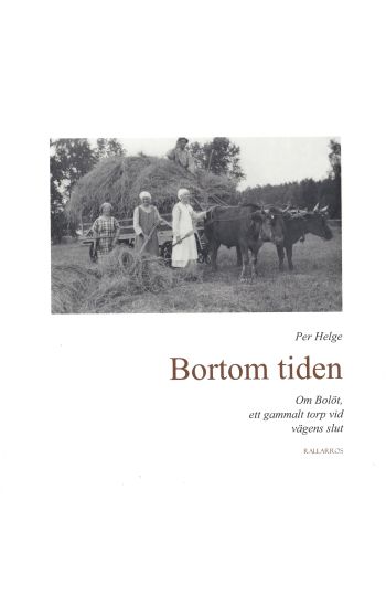 Bortom tiden : om Bolöt, ett gammalt torp vid vägens slut