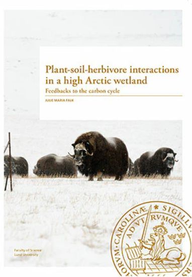 Plant-soil-herbivore interactions in a high Arctic wetland
