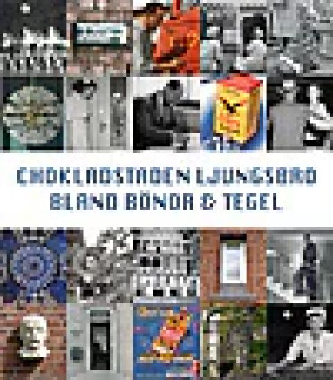 Chokladstaden Ljungsbro : bland bönor och tegel
