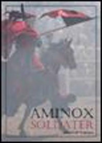 Aminox : Soldater