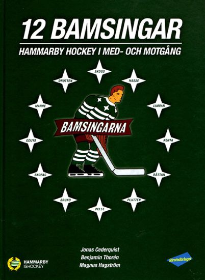 12 Bamsingar : Hammarby Hockey i med- och motgångar