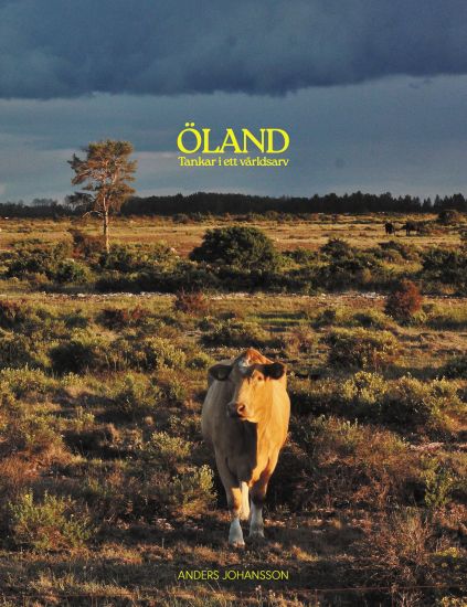 Öland, tankar i ett världsarv