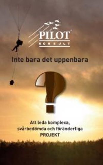 Inte bara det uppenbara : att leda komplexa, svårbedömda och föränderliga projekt