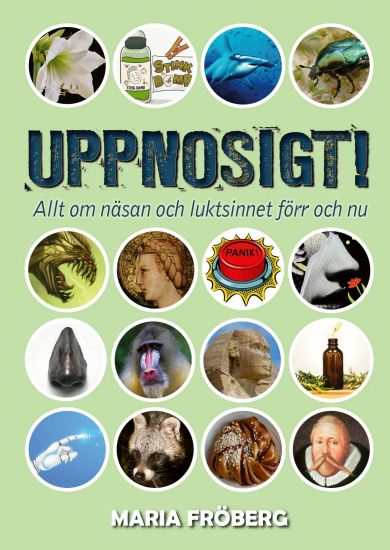 Uppnosigt! Allt om näsan och andra coola kranar