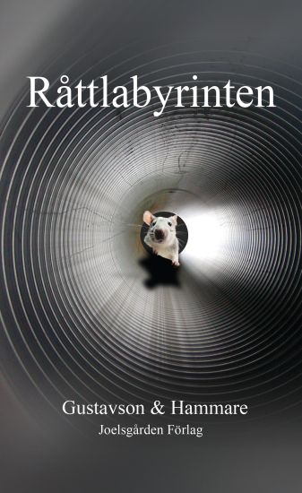 Råttlabyrinten