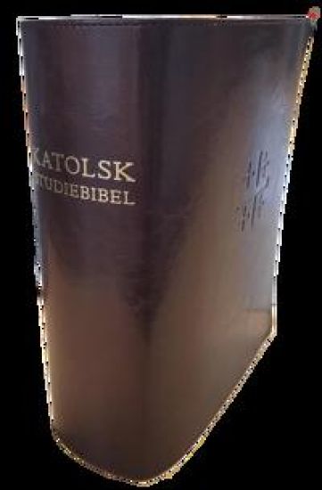 Katolsk studiebibel : Bibel 2000 med katolska kommentarer