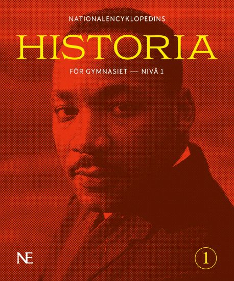 NE Historia för gymnasiet : nivå 1