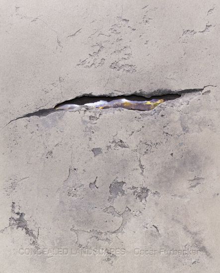 Kansikuva: Concealed Landscapes