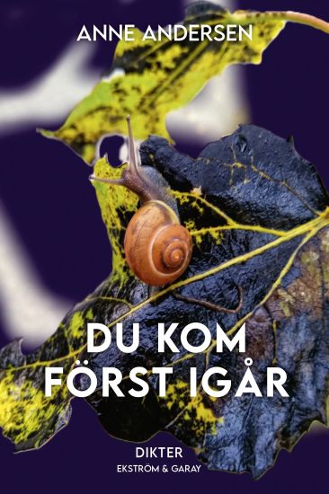 Du kom först igår