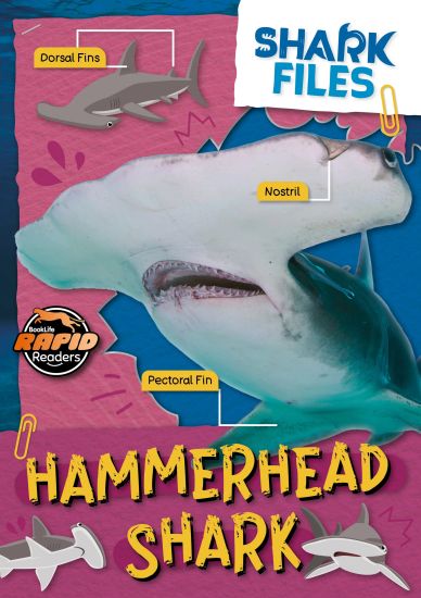 Kansikuva: Hammerhead Shark