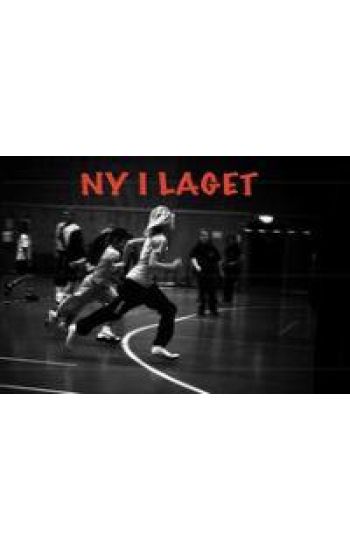 Ny i laget