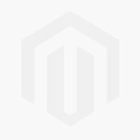 Konstnären och mötet med naturen : ett igenkännande ögonblick