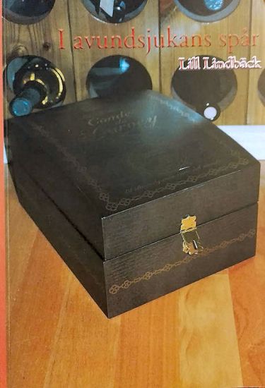 I avundsjukans spår