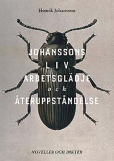 Johanssons liv, arbetsglädje och återuppståndelse : noveller och dikter