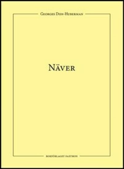Näver