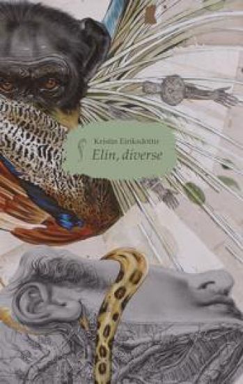 Elin, diverse