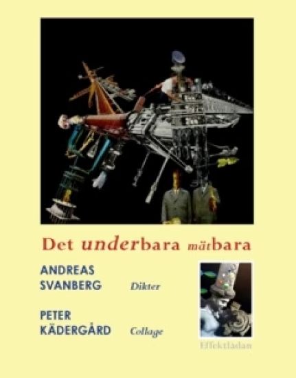 Det underbara mätbara : dikter