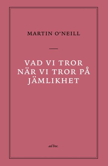 Vad vi tror när vi tror på jämlikhet
