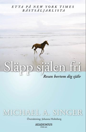 Släpp själen fri : resan bortom dig själv
