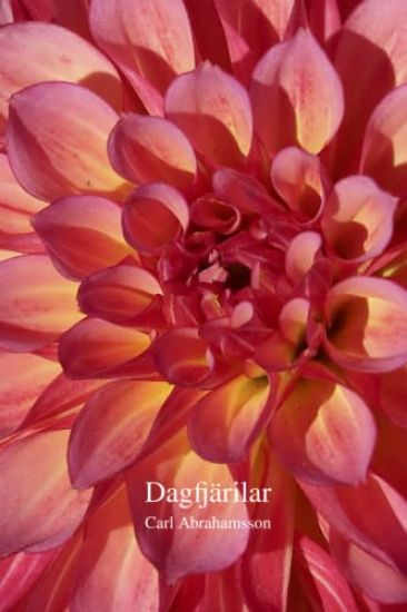 Dagfjärilar