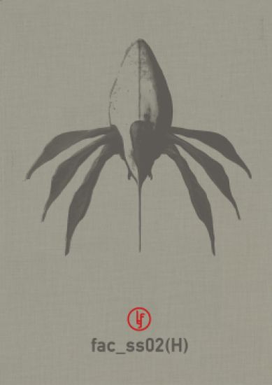 Kansikuva: Brain Fruit