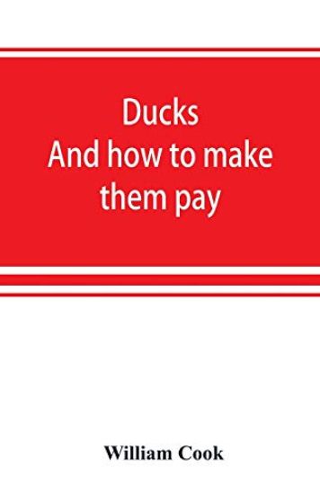 Ducks