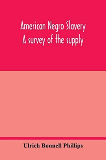 American Negro slavery