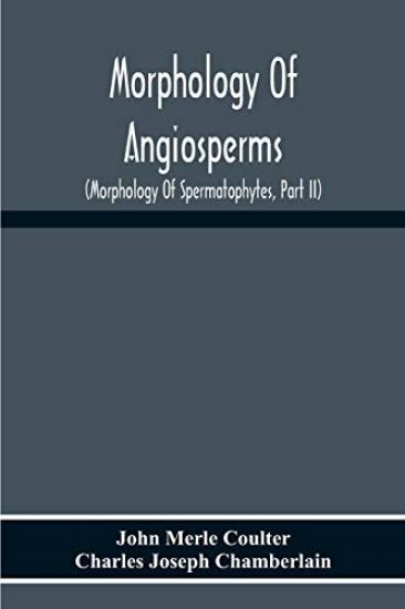 Morphology Of Angiosperms