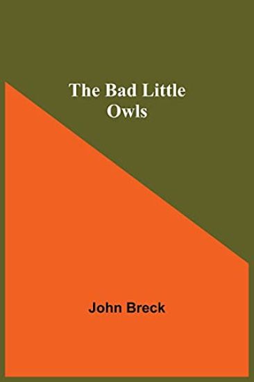 The Bad Little Owls