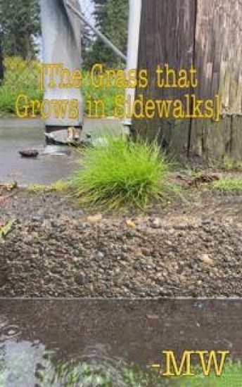 The Grass that Grows in Sidewalks.