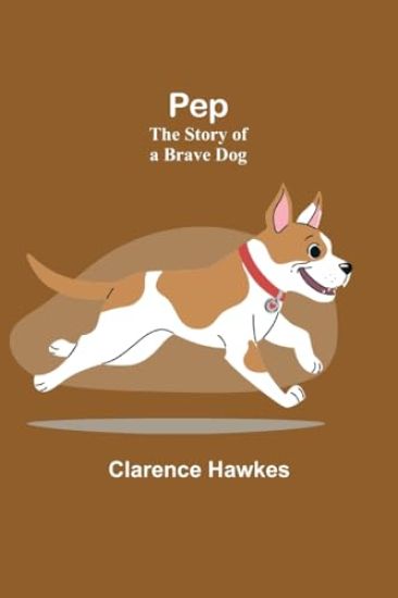 Old Gold; The Cruise of the Jason Brig