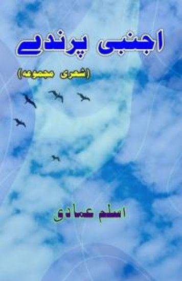 Ajnabi Parinde (Poetry)