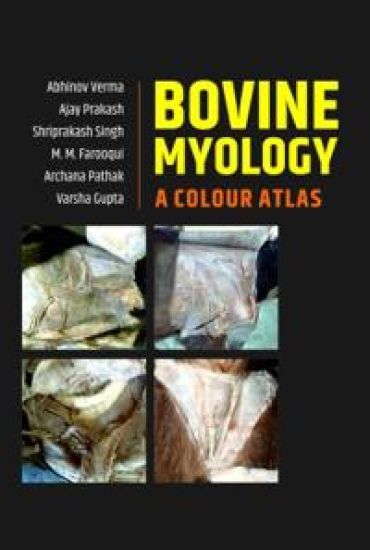 Bovine Myology