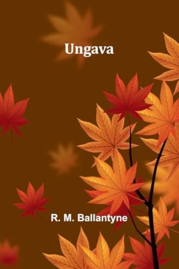 A Practical Novelist (Edition1)