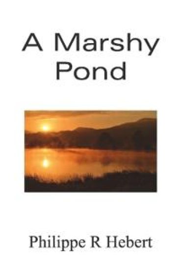 A Marshy Pond
