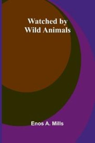Watched By Wild Animals