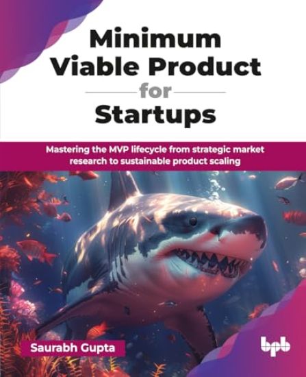 Minimum Viable Product for Startups
