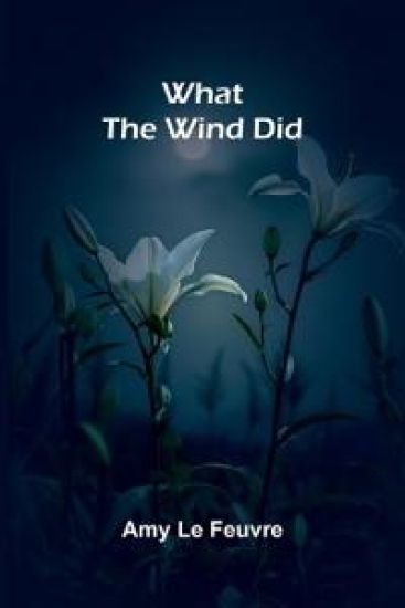 The Youngest Sister A Tale of Manitoba (Edition1)