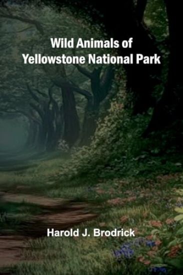 The Wailing Octopus A Rick Brant Science-Adventure Story (Edition1)