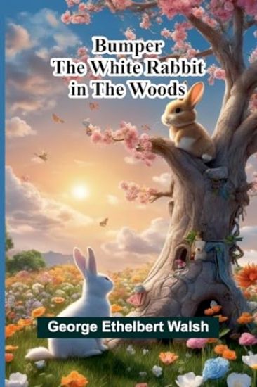 The Century Worlds Fair Book for Boys and Girls Being the Adventures of Harry and Philip with Their Tutor, Mr. Douglass, at the Worlds Columbian Exposition (Edition1)