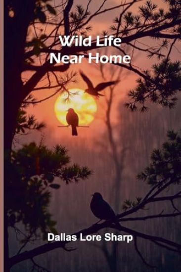 Chats on Old Copper and Brass (Edition1)