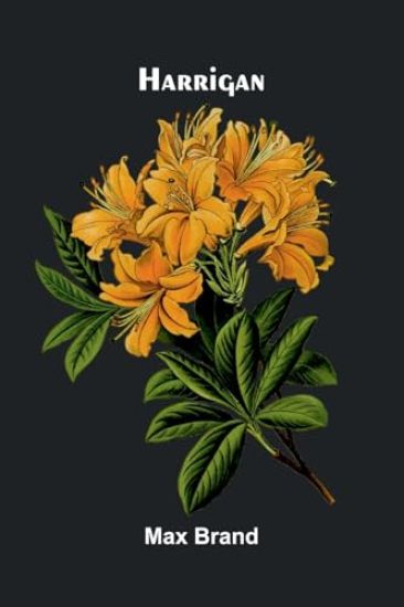 In the Line (Edition1)