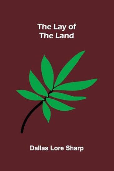 Museum of Antiquity A Description of Ancient Life (Edition1)