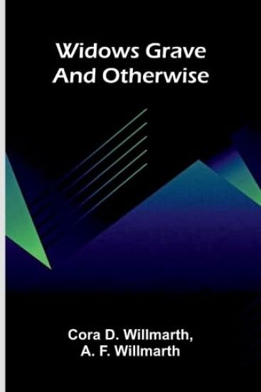 The Pony Rider Boys in the Grand Canyon Or, The Mystery of Bright Angel Gulch (Edition2)