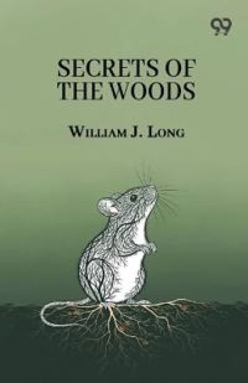 Secrets Of The Woods