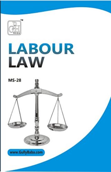 Ms-28 Labour Laws
